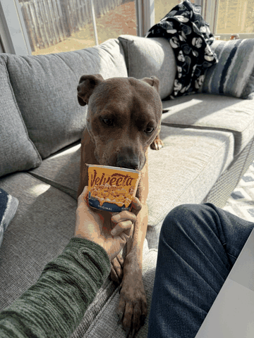 Mox inspecting a snack cup